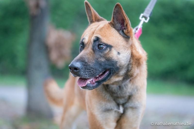 H2021-0265 Jitlee