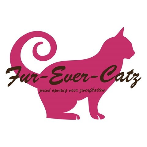 Fur-Ever-Catz asiel