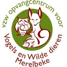 Opvangcentrum voor Vogels & Wilde Dieren Merelbeke Vzw