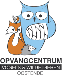 Opvangcentrum voor Vogels & Wilde Dieren Oostende Vzw