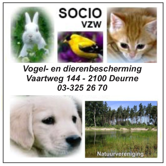 Socio Vzw Deurne