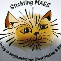 Stichting Maes