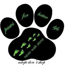 Paws For Better Life