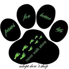 Paws For Better Life