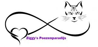 Ziggy's Poezenparadijs