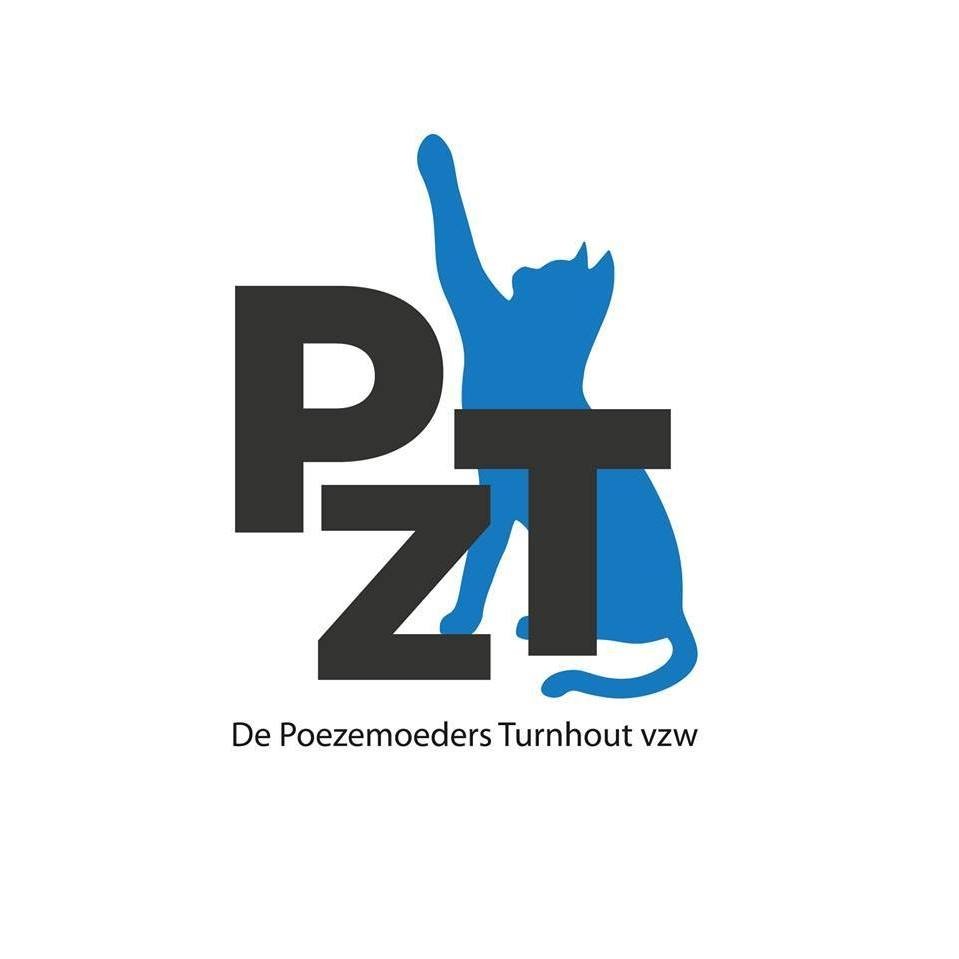 De Poezemoeders Zwerfkattenproject Turnhout vzw