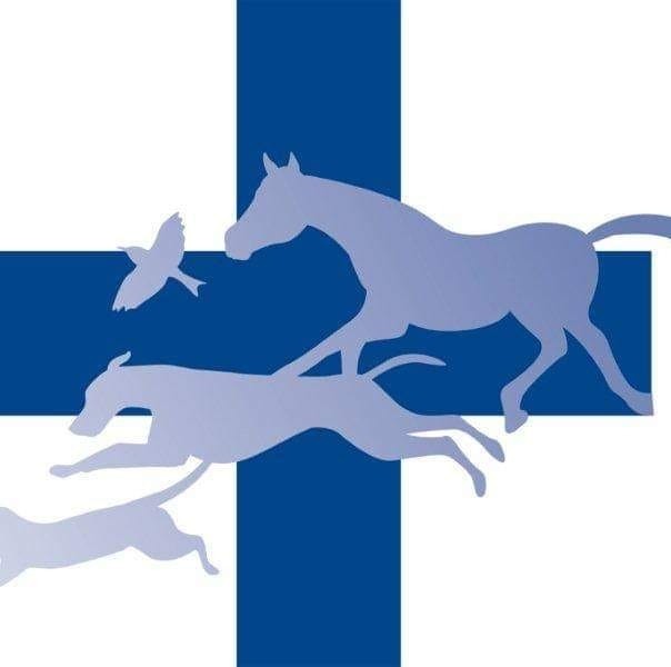 https://www.animalshelter.be/storage/animalshelter/48710/het-blauwe-kruis-van-belgie-logo-20200724-083127.jpg