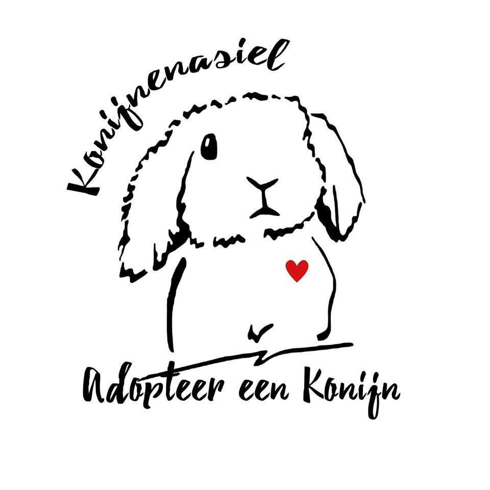 Adopteer een konijn